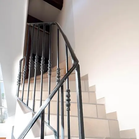 Maison Familiale Sous Les Palmiers De Hyeres